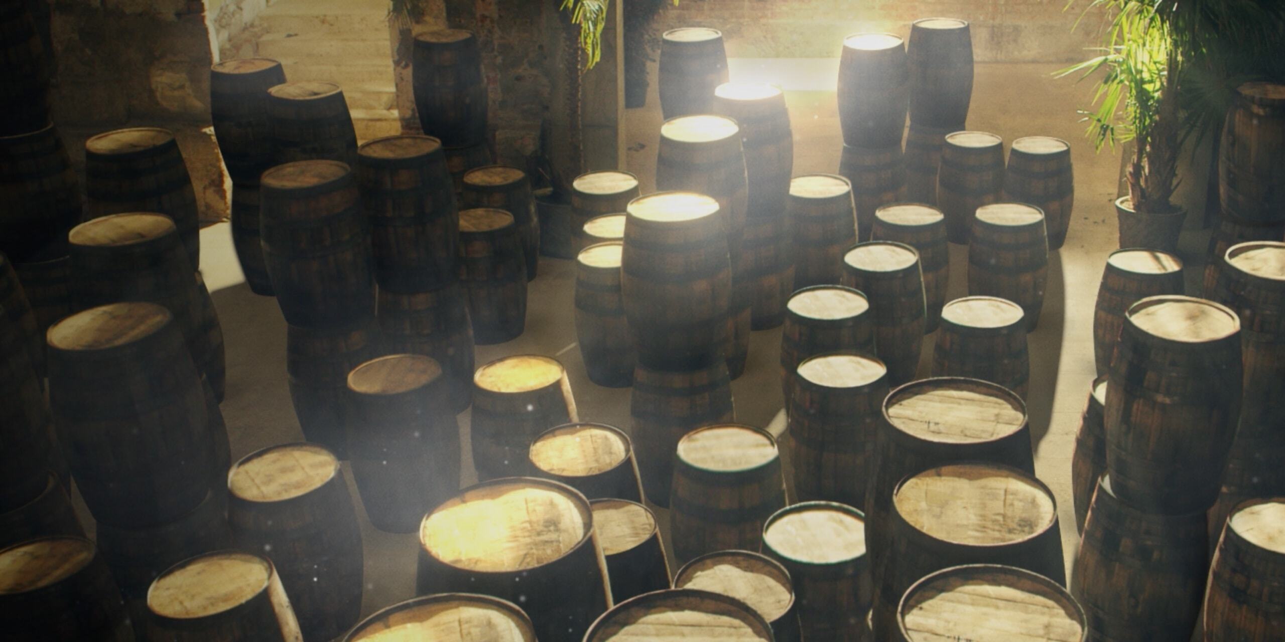 Numerous wooden barrels arranged in a dimly lit cellar with dramatic light shafts illuminating the tops.