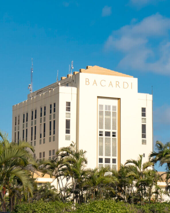 Cream-colored BACARDÍ building with gold lettering, framed by palm trees and green foliage.