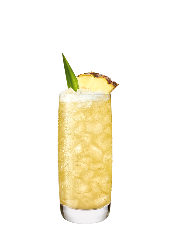 Tall glass of Piña Colada with crushed ice, pineapple leaf, and pineapple slice garnish.