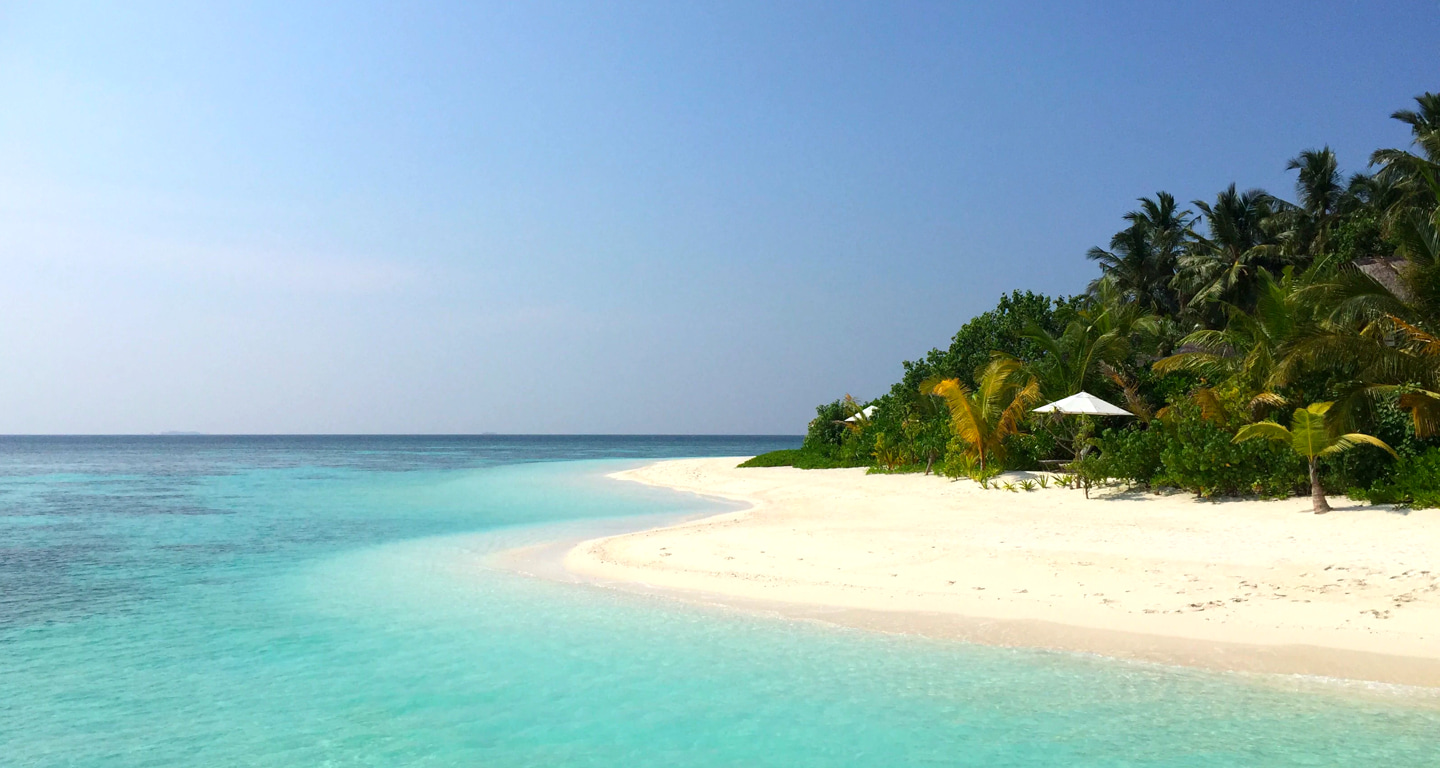 Pristine tropical beach with turquoise ocean, white sand shore, and lush green palm trees under a bright blue sky.