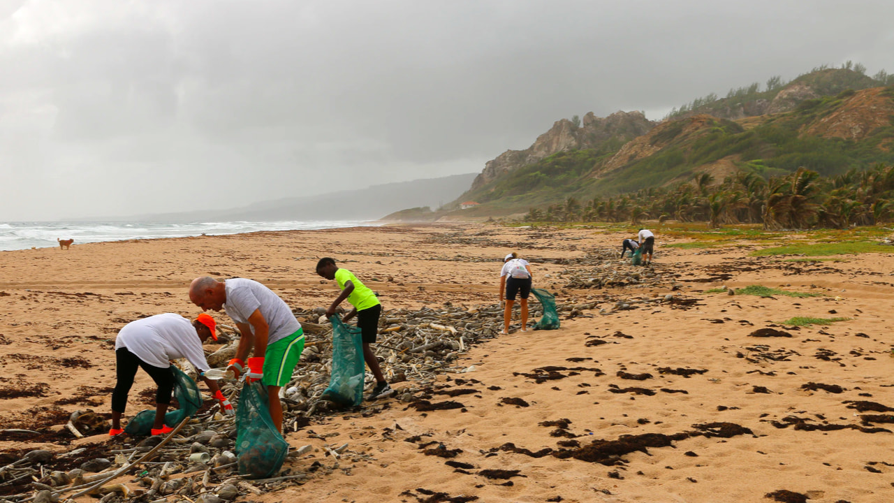 Group of people collecting debris and trash into green mesh bags on a sandy beach with ocean and coastline.