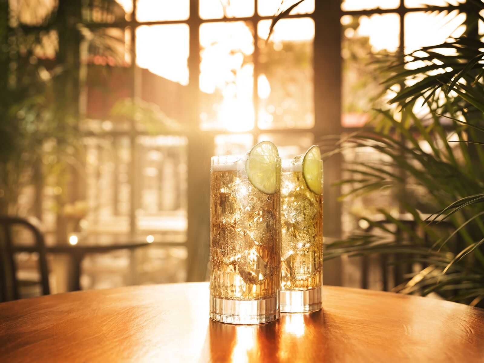 Two golden cocktails in tall glasses, garnished with lime slices and ice cubes.