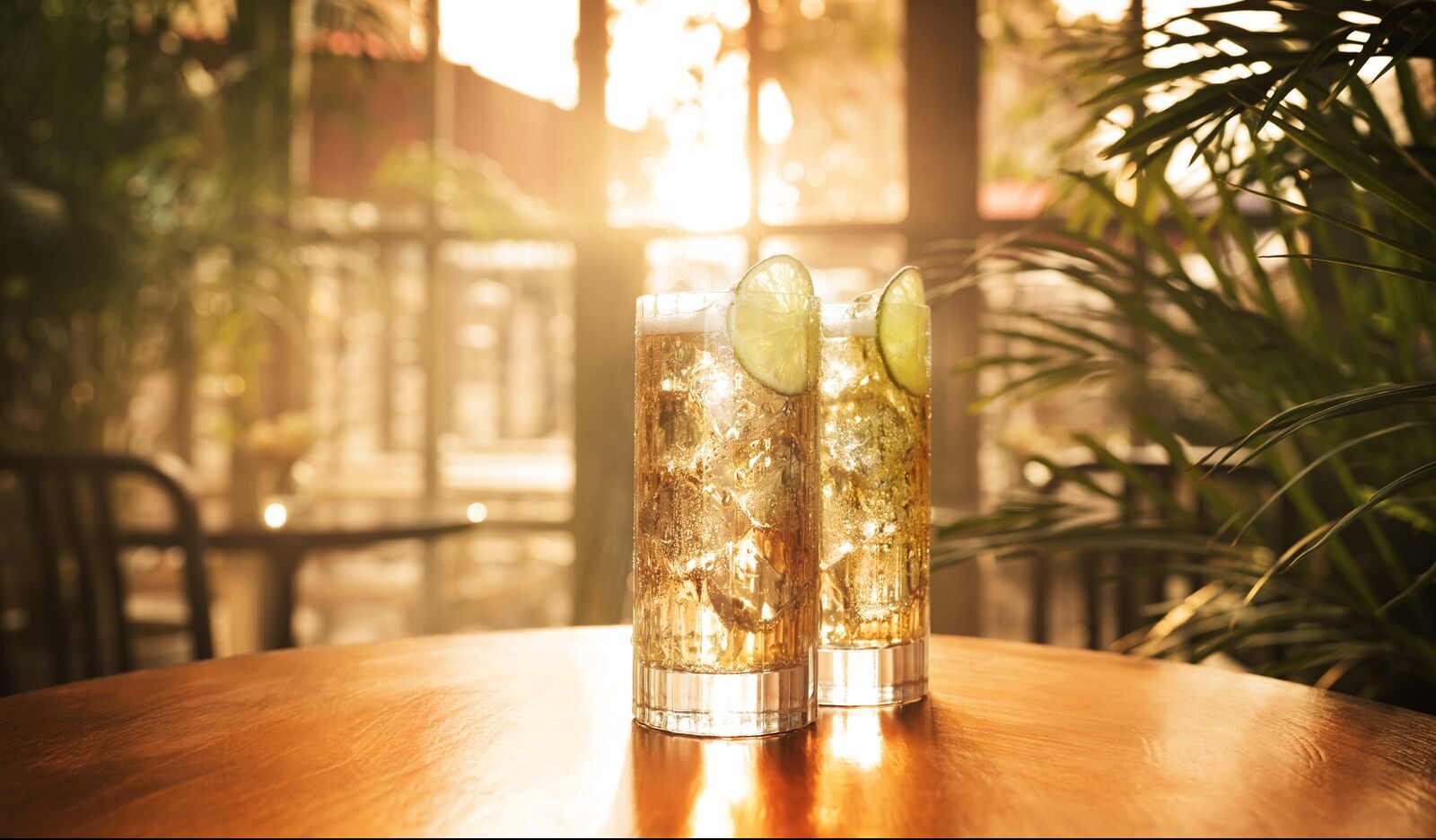 Two tall glasses filled with golden cocktails, each garnished with a lime slice.