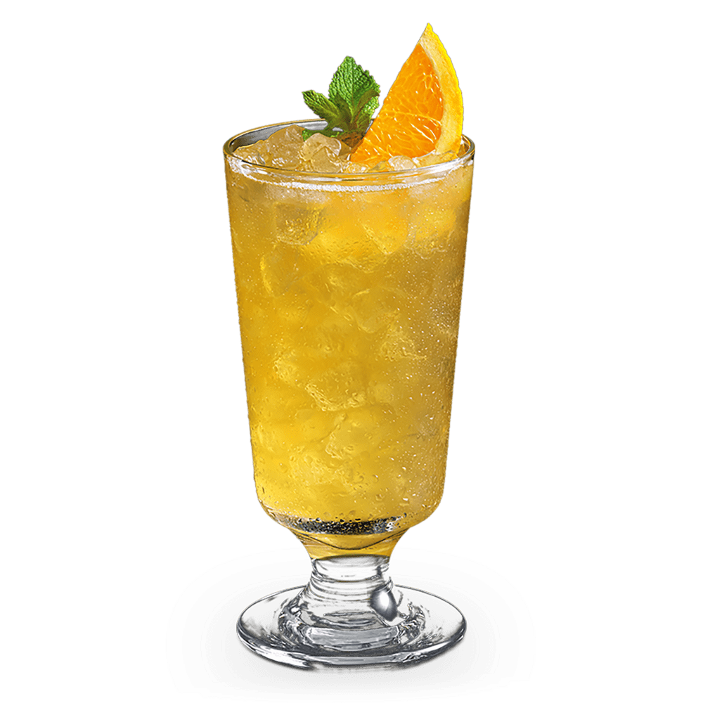 Mai Tai cocktail in a tall, footed glass with crushed ice, orange wedge, and mint sprig.