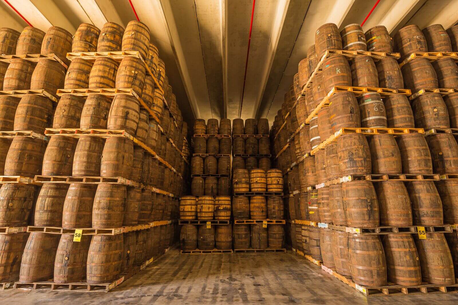 Towering rows of wooden rum barrels stacked in a vast warehouse with ribbed ceiling.