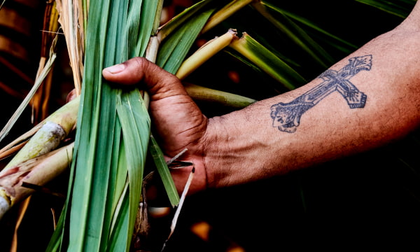 Hand gripping sugarcane stalks, featuring a detailed cross tattoo on the forearm.