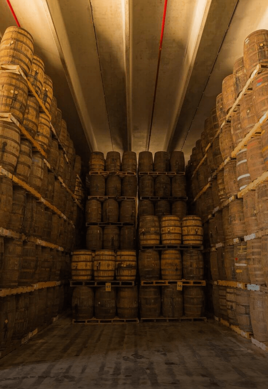 Warehouse interior with rows of wooden barrels stacked on shelves, illuminated by dim lighting.