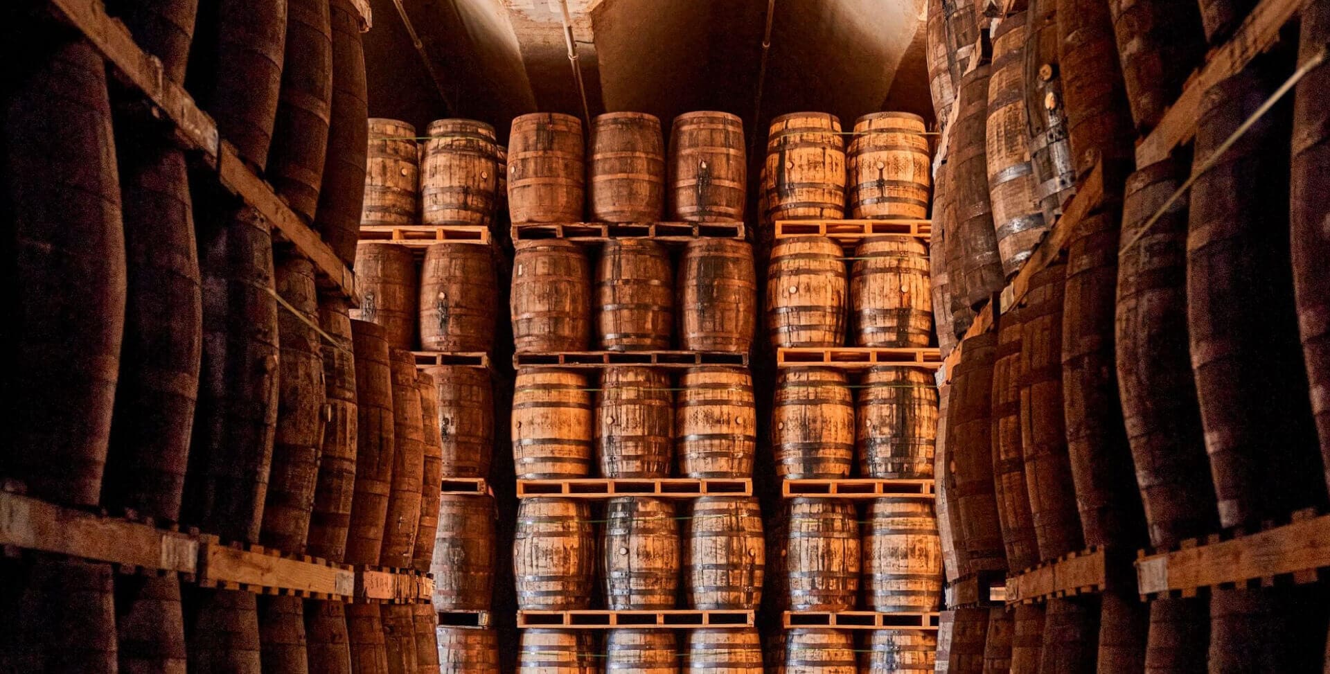 Dimly lit cellar with numerous wooden barrels stacked on pallets and racks.