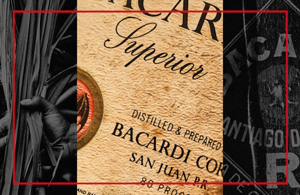 Vintage BACARDÍ Superior rum label with sugarcane stalks and historical branding elements.