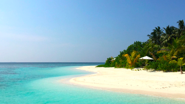 Pristine tropical beach with white sand, turquoise water, blue sky, and green palm trees.