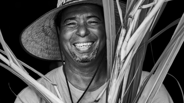 Black and white portrait of a person in a wide-brimmed straw hat holding long sugarcane stalks.