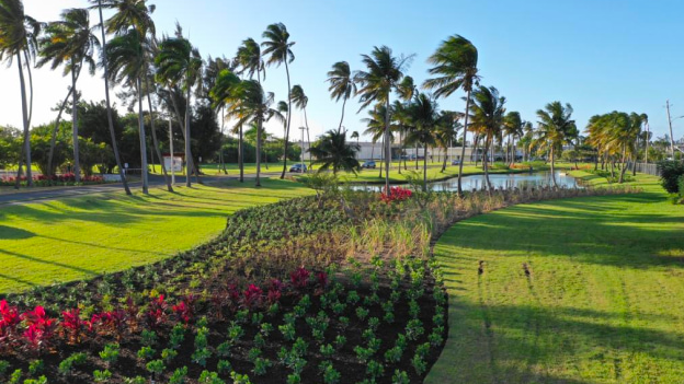 Wide landscape of manicured garden with palm trees, flower beds, pond, and green lawn.