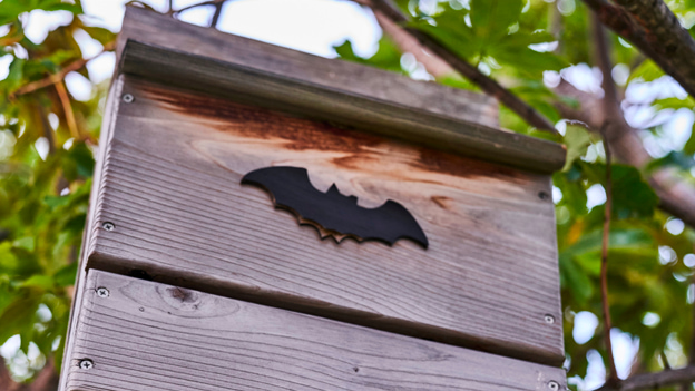 Wooden bat house with BACARDÍ bat silhouette logo mounted among green tree branches.