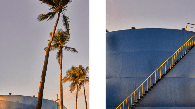 Split image of palm trees silhouetted against sky and large blue industrial tank with yellow staircase.