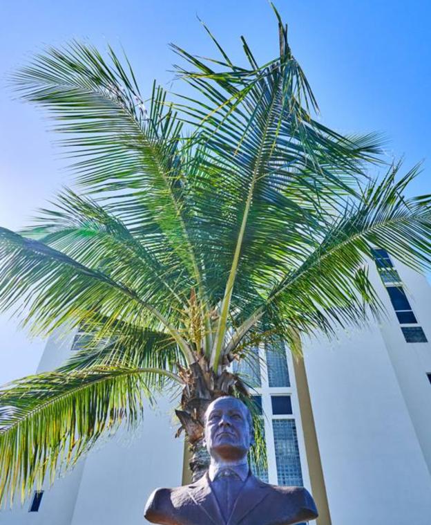 Bronze bust positioned in front of a green palm tree with a modern white building behind.