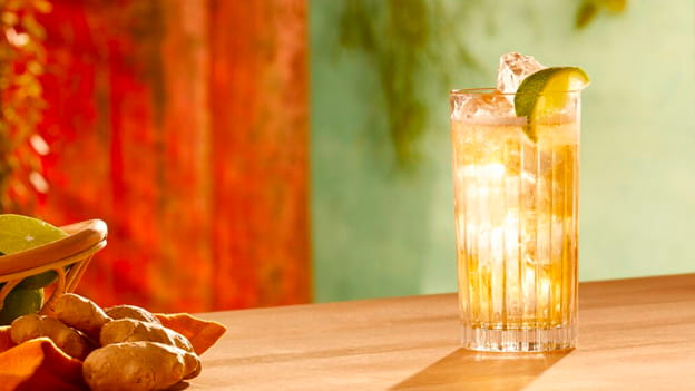 Highball cocktail with lime wedge, ice cubes, accompanied by fresh ginger roots in small basket.
