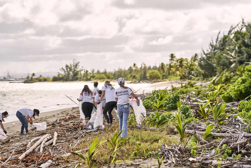 BACARDÍ volunteers collecting trash into white bags along a sandy coastline with ocean and vegetation.