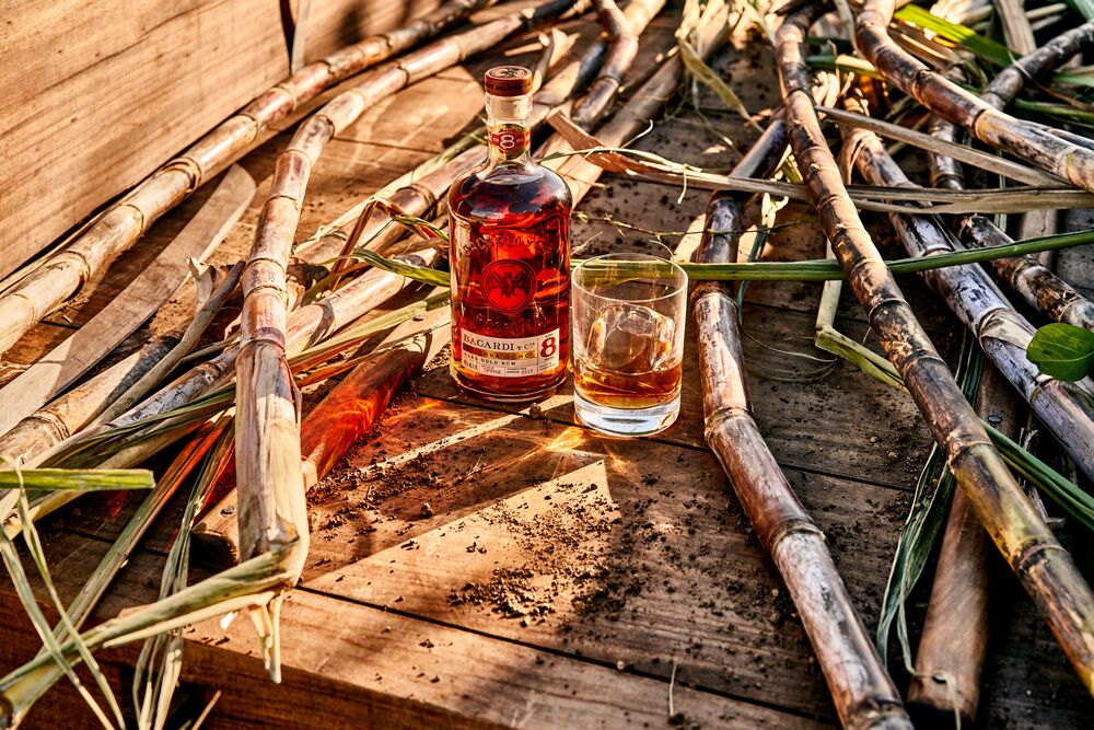 BACARDÍ 8 rum bottle and glass with ice, surrounded by sugarcane stalks and leaves.