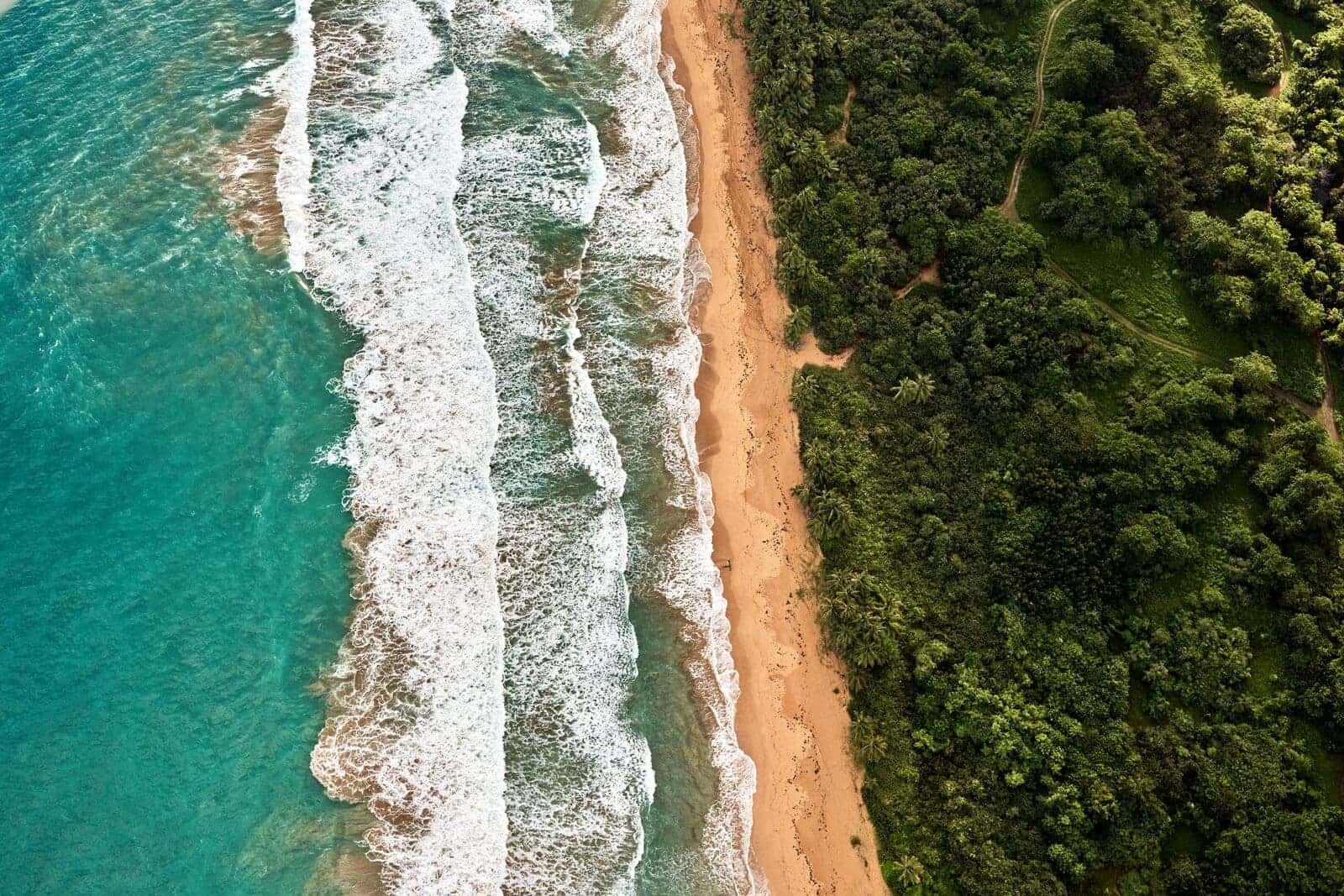 Aerial view of tropical coastline with white waves crashing onto golden sandy beach and dense green forest.