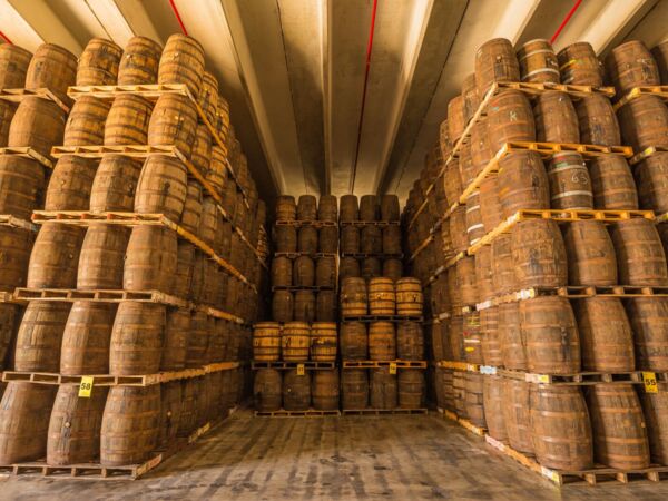 Vast aging cellar with rows of wooden barrels stacked on pallets under warm lighting.