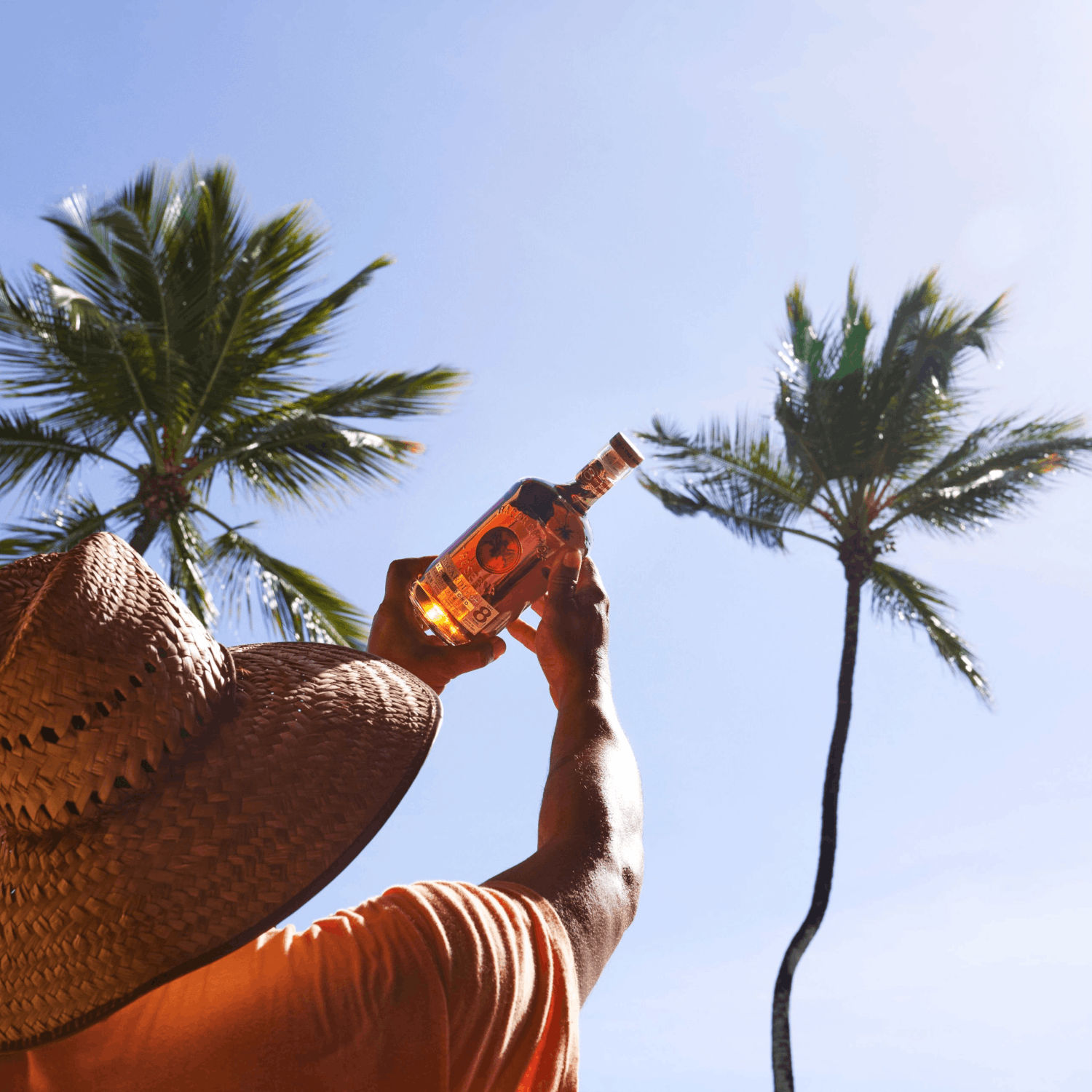 Person in straw hat holding rum bottle, framed by two palm trees against bright blue sky.