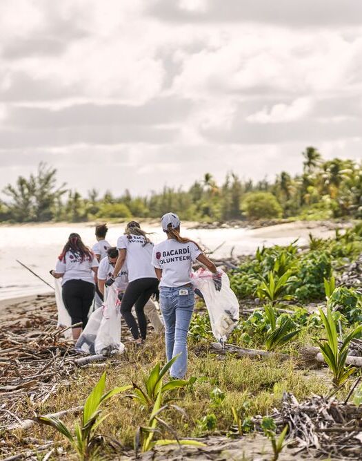 Group of volunteers in white shirts collecting debris on a tropical beach.