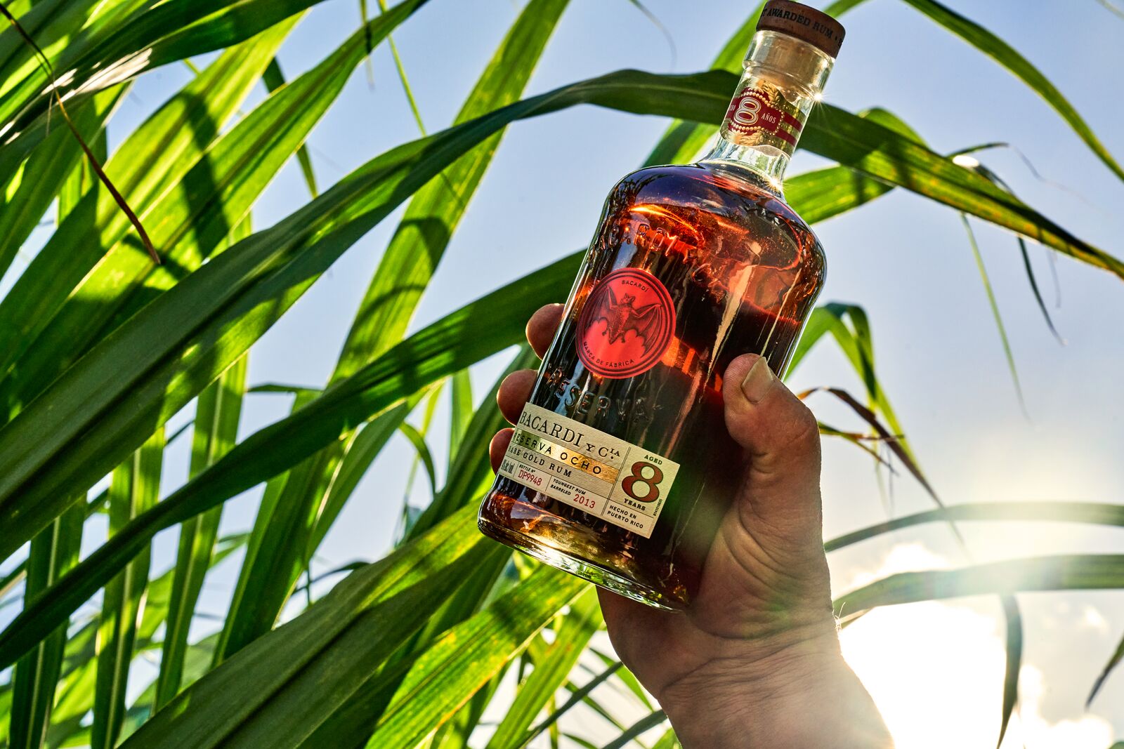 Hand holding a BACARDÍ Reserva Ocho rum bottle with sugarcane leaves and bright sky in the background.