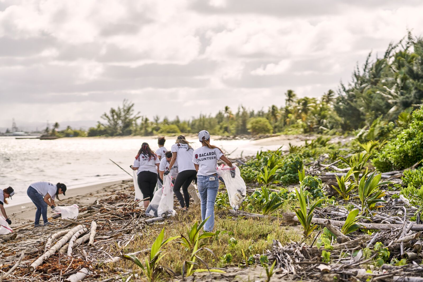 BACARDÍ volunteers cleaning debris along a sandy shoreline with white trash bags.