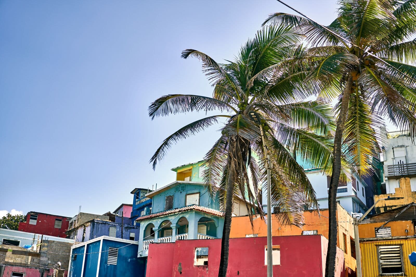 Vibrant cluster of colorful buildings and palm trees against a clear blue sky.