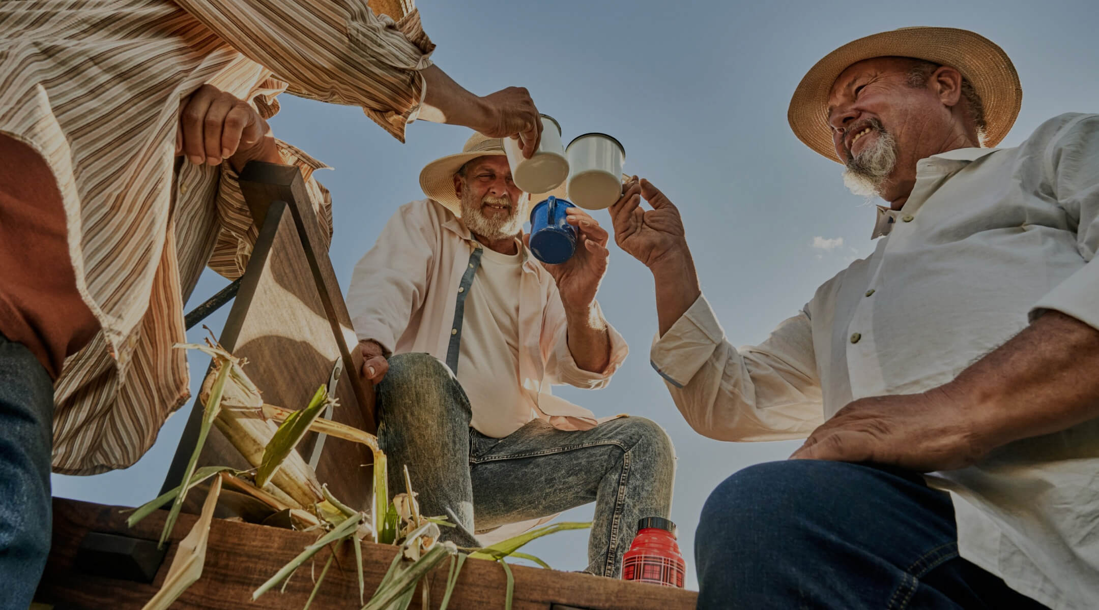 Three people seated on a wooden structure in a sugarcane field, raising mugs in a celebratory toast.
