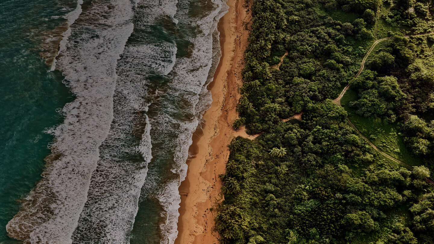 Aerial view of tropical coastline with white waves crashing onto sandy beach and dense green forest with winding paths.