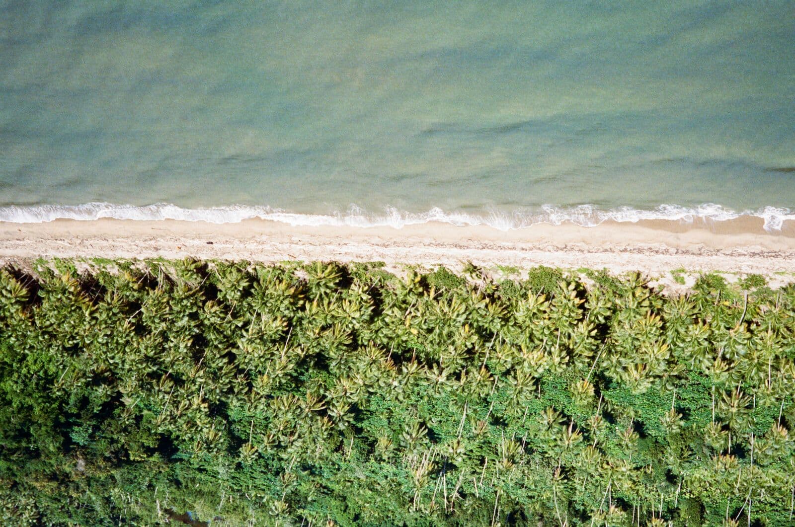 Aerial view of tropical coastline with turquoise ocean, sandy beach, and dense green forest.