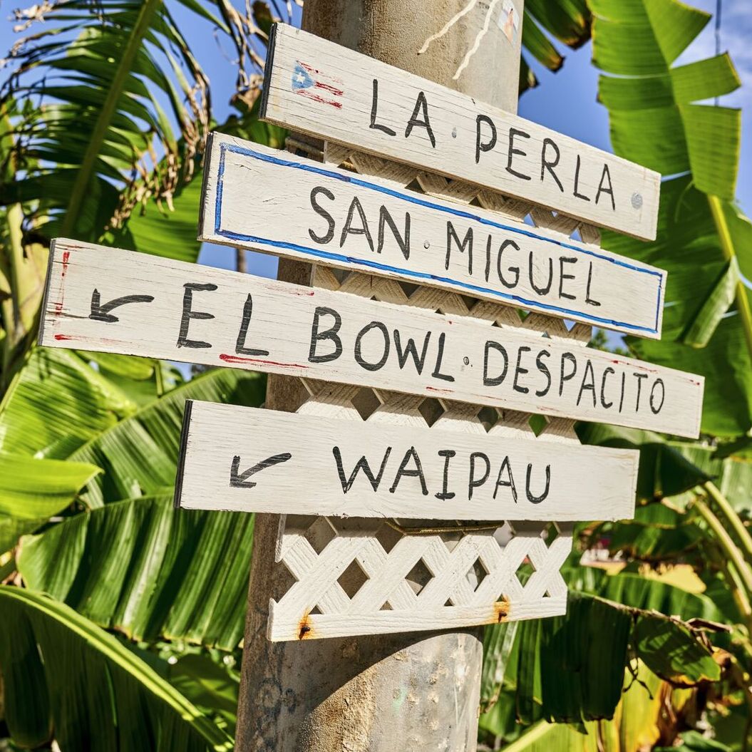 Wooden signpost with directional signs pointing to various locations amid tropical green foliage.