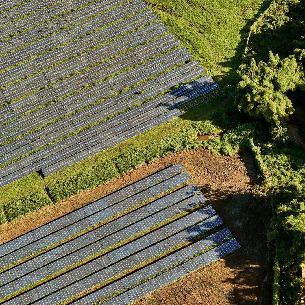Aerial view of solar farm with dark blue panels across green grass and earth, lined by trees.