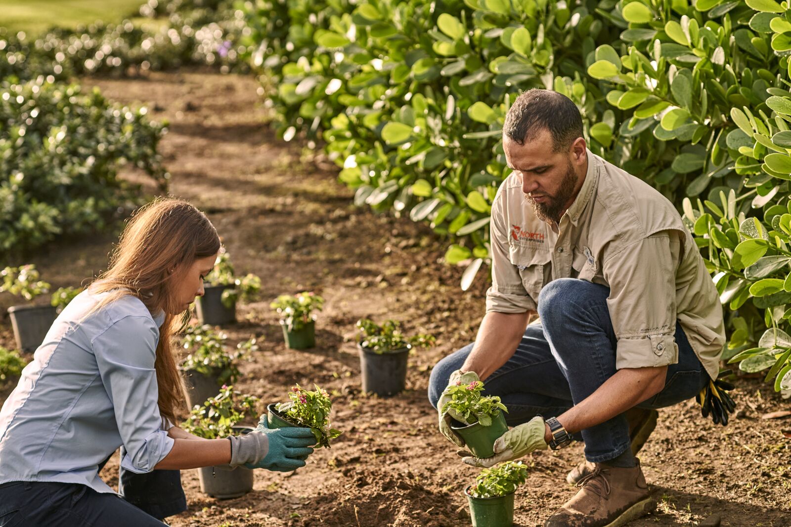 Two people kneeling and planting green seedlings in soil, surrounded by potted plants and lush foliage.